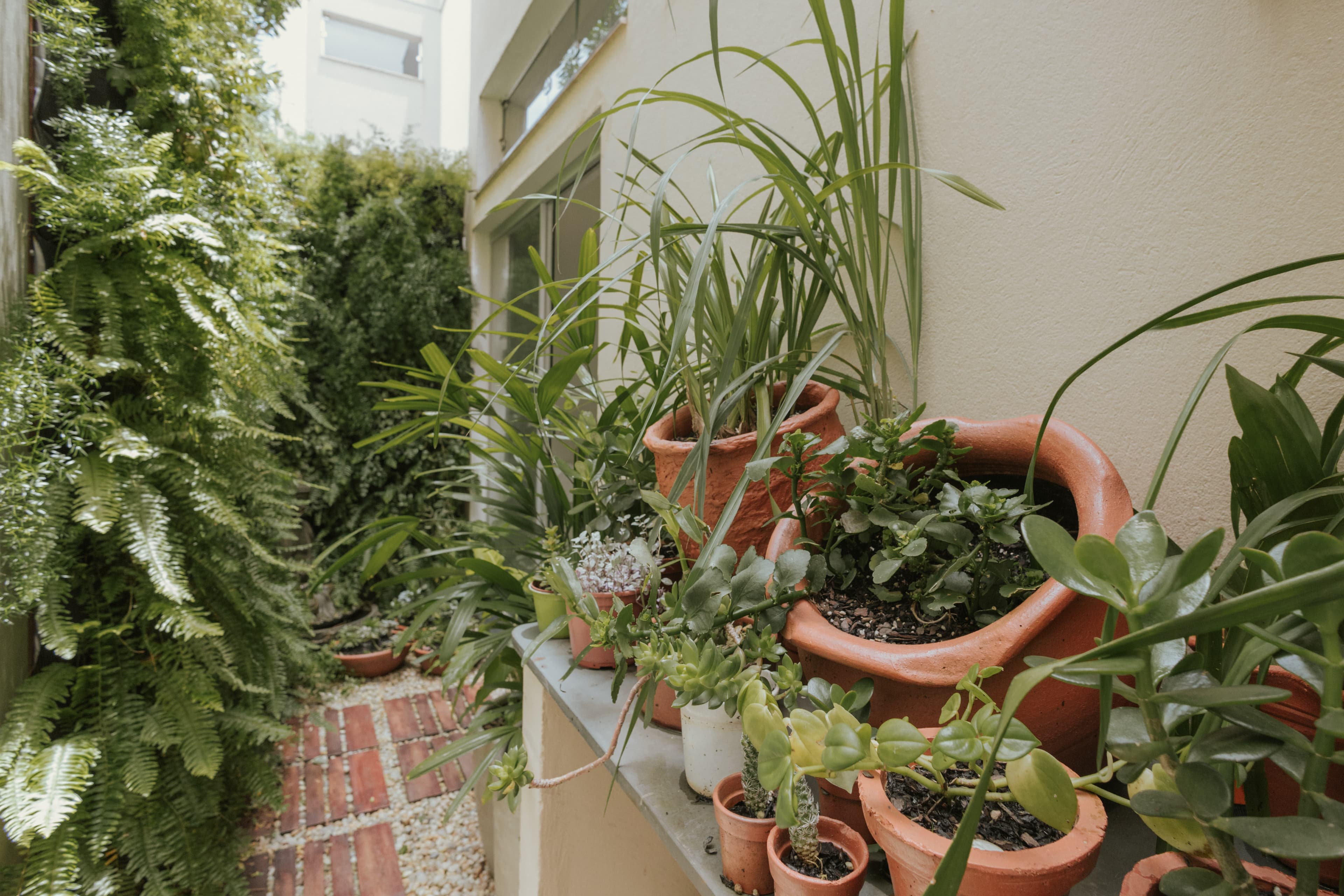 Espaço Geral da Clínica